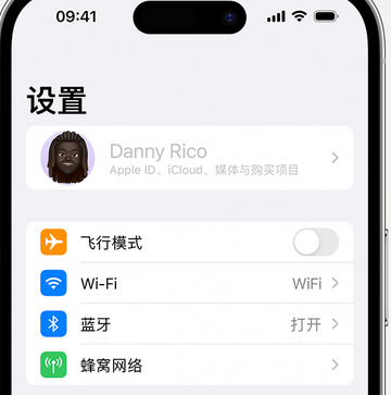 闵行appleID维修服务iPhone设置中Apple ID显示为灰色无法使用 