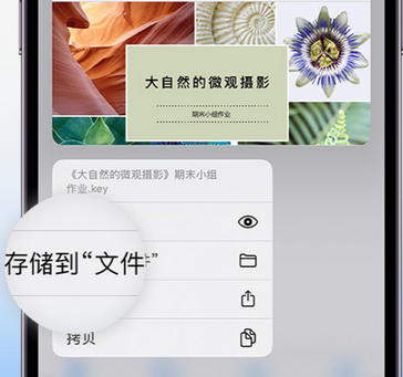 闵行apple维修中心分享iPhone文件应用中存储和找到下载文件