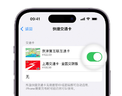 闵行apple维修点分享iPhone上更换Apple Pay快捷交通卡手绘卡面 