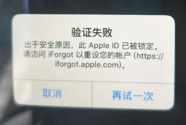 闵行iPhone维修分享iPhone上正常登录或使用AppleID怎么办 