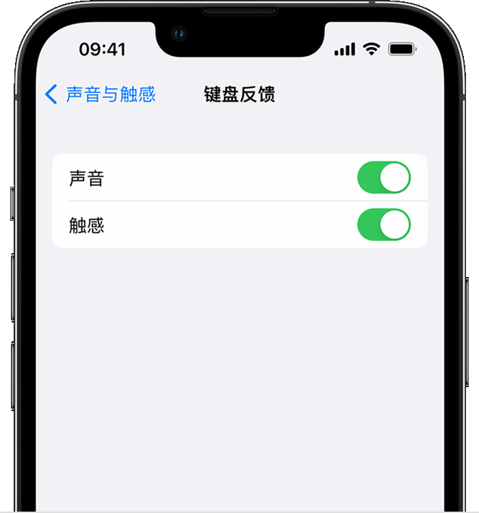 闵行苹果14维修店分享如何在 iPhone 14 机型中使用触感键盘 