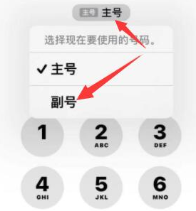 闵行苹果14维修店分享iPhone 14 Pro Max使用副卡打电话的方法 