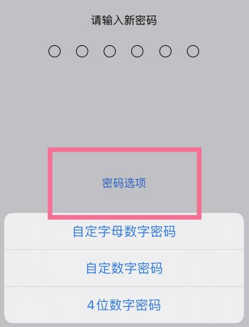 闵行苹果14维修分享iPhone 14plus设置密码的方法 