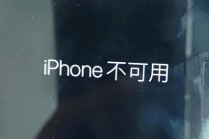 闵行苹果服务网点分享锁屏界面显示“iPhone 不可用”如何解决 