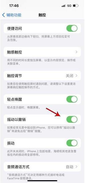 闵行苹果手机维修分享iPhone手机如何设置摇一摇删除文字 