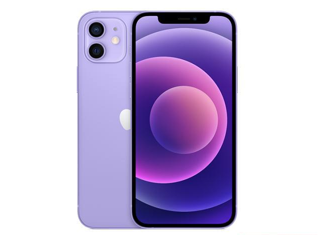 闵行苹果手机维修分享现阶段要不要入手紫色版iPhone12 